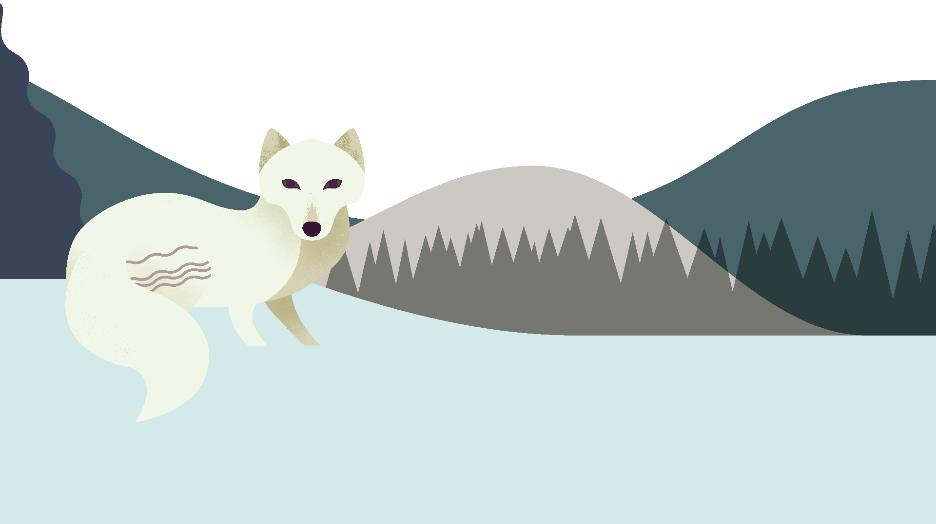 Arctic Fox Snow Download HD Transparent PNG Image