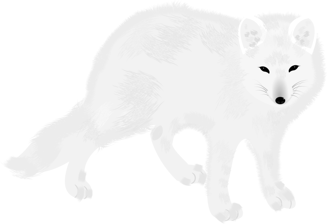 Arctic Fox Snow Free Download PNG HQ Transparent PNG Image