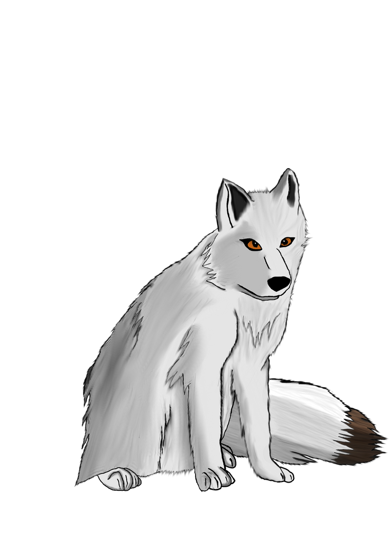 White Fox Arctic PNG Image High Quality Transparent PNG Image