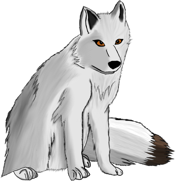 Photos White Fox Arctic Free Download PNG HQ Transparent PNG Image