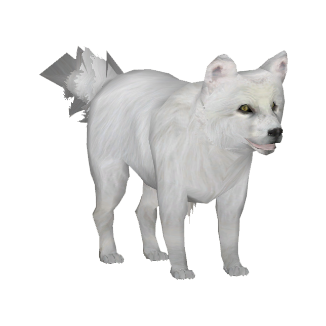 Picture White Fox Arctic PNG Image High Quality Transparent PNG Image