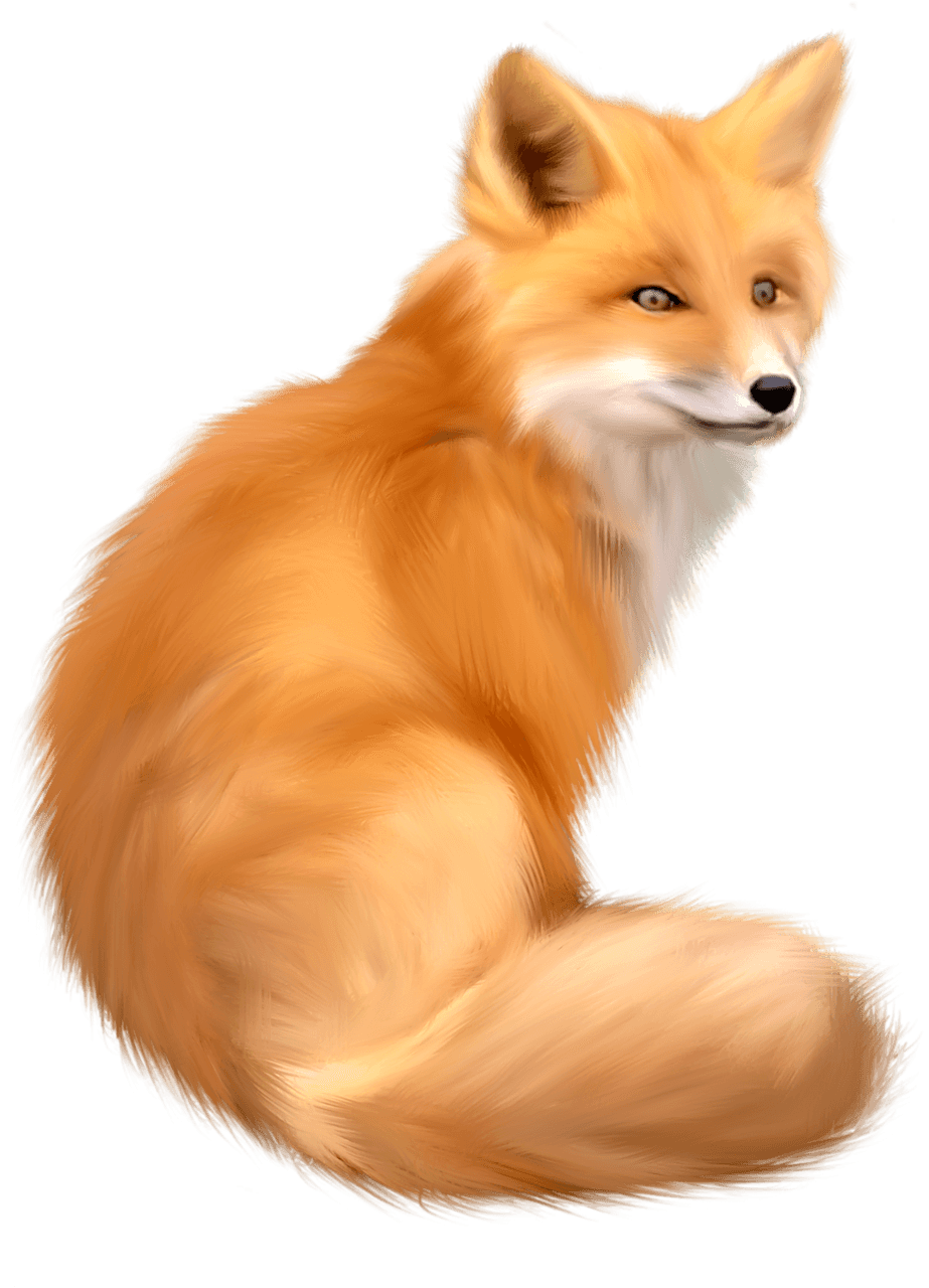 Fox Png Image Download Picture Transparent PNG Image