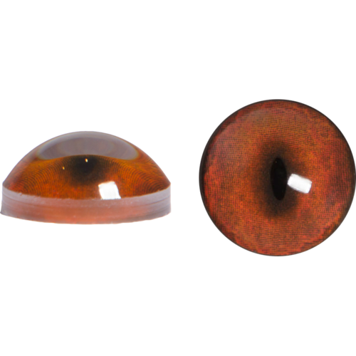 Fox Eyes Transparent Transparent PNG Image