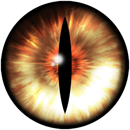 Fox Eyes Hd Transparent PNG Image