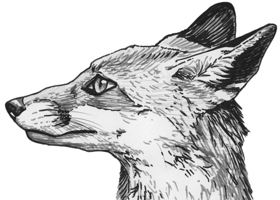 Fox Eyes Clipart Transparent PNG Image