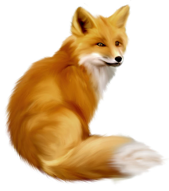 Fox Png 10 Transparent PNG Image