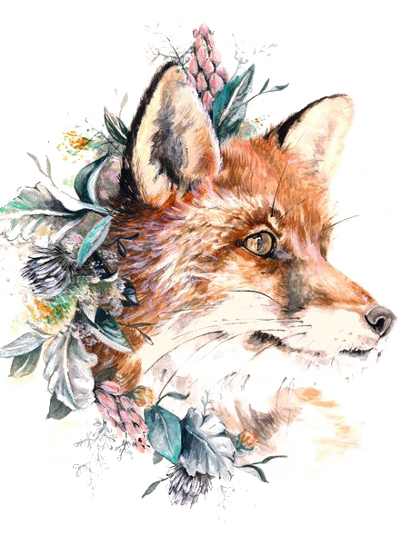 Tattoo Gray Fox Paper Wolf Red Transparent PNG Image