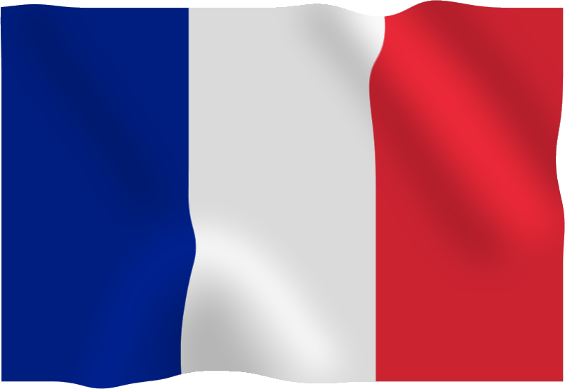 France Flag Png Transparent PNG Image