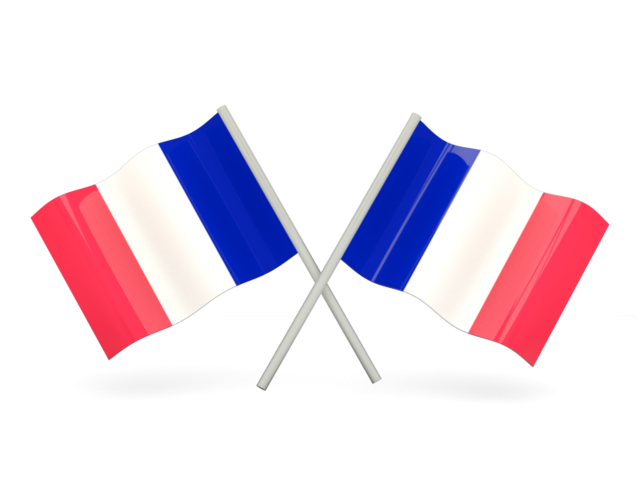 France Flag Transparent Transparent PNG Image