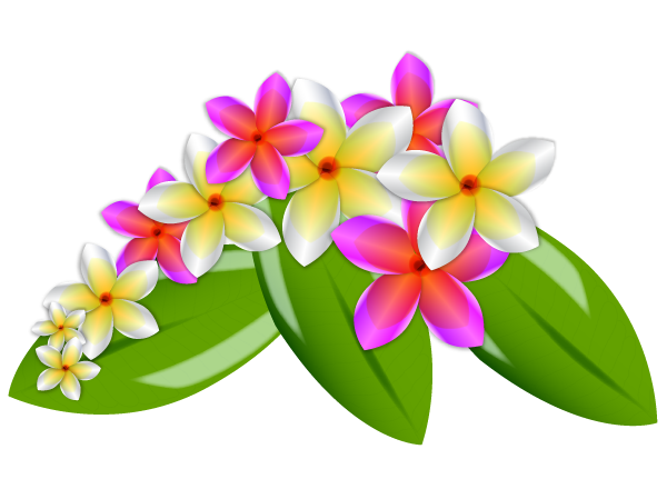 Frangipani Free Transparent Image HQ Transparent PNG Image