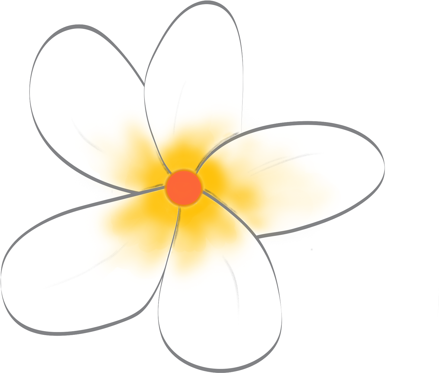 Frangipani White Flower Download HQ Transparent PNG Image