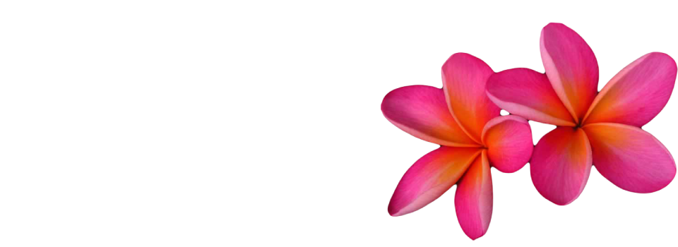 Pink Frangipani Flower PNG File HD Transparent PNG Image