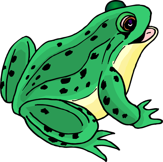 Frog Clip Art Transparent PNG Image