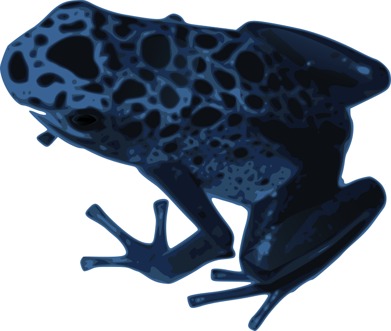 Azureus Frog Transparent PNG Image