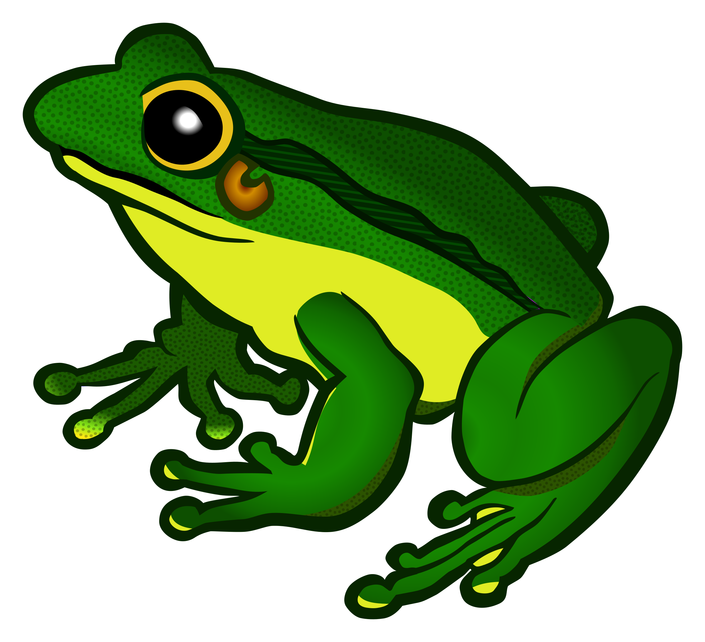 Frog Transparent Background Transparent PNG Image