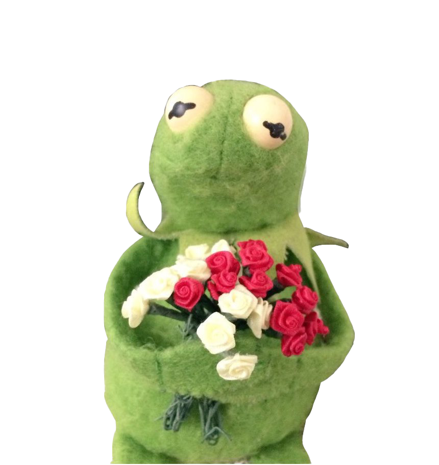 Photos The Frog Kermit PNG Image High Quality Transparent PNG Image