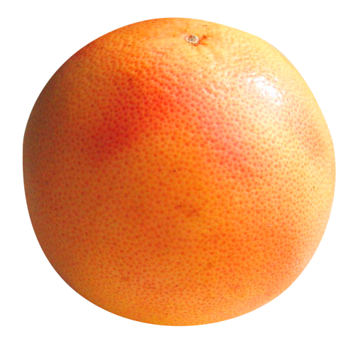 Grapefruit Pic Free Clipart HQ Transparent PNG Image