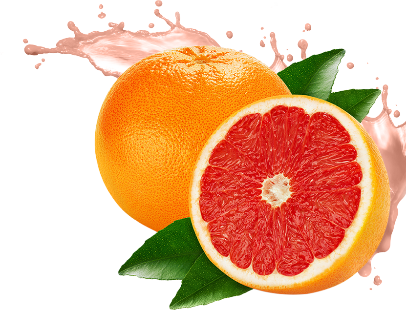 Grapefruit Half PNG Download Free Transparent PNG Image