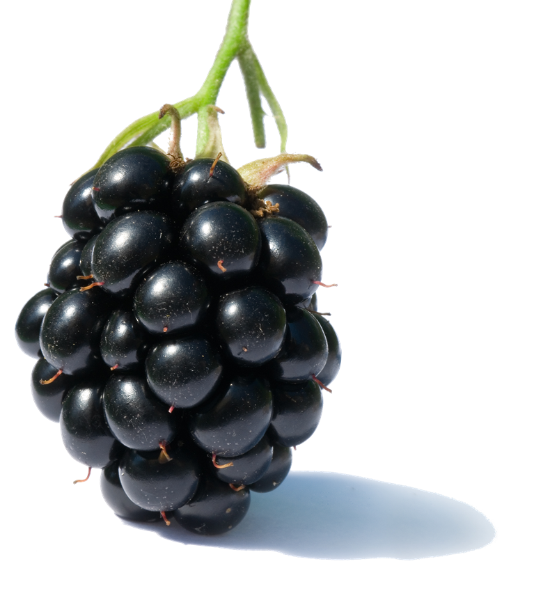 Fresh Fruits Free Download PNG HQ Transparent PNG Image