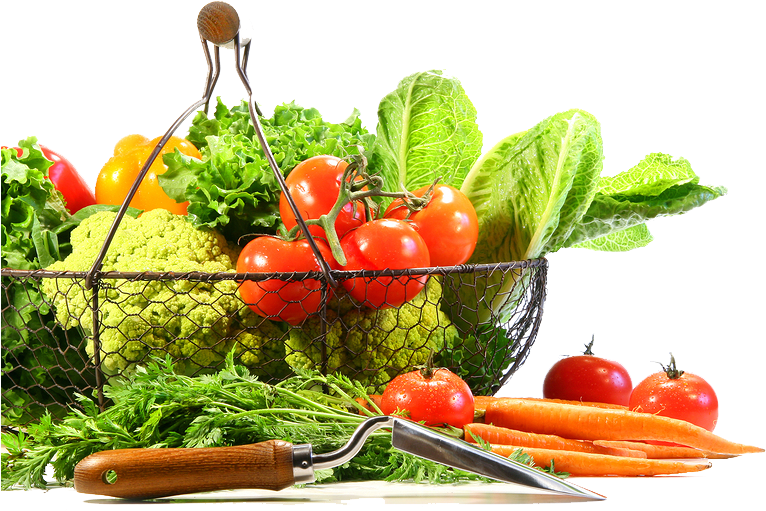 And Vegetables Fruits Free Transparent Image HQ Transparent PNG Image