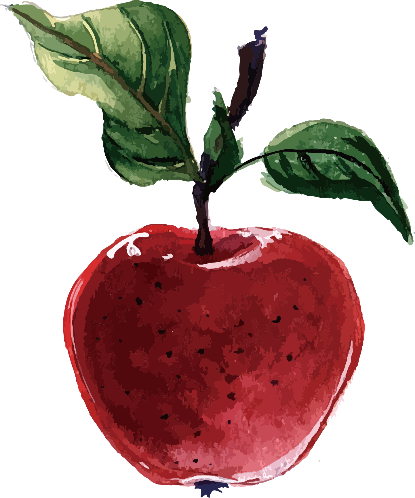 Plant-Based Illustrator Apple Packs Diet Vector Adobe Transparent PNG Image