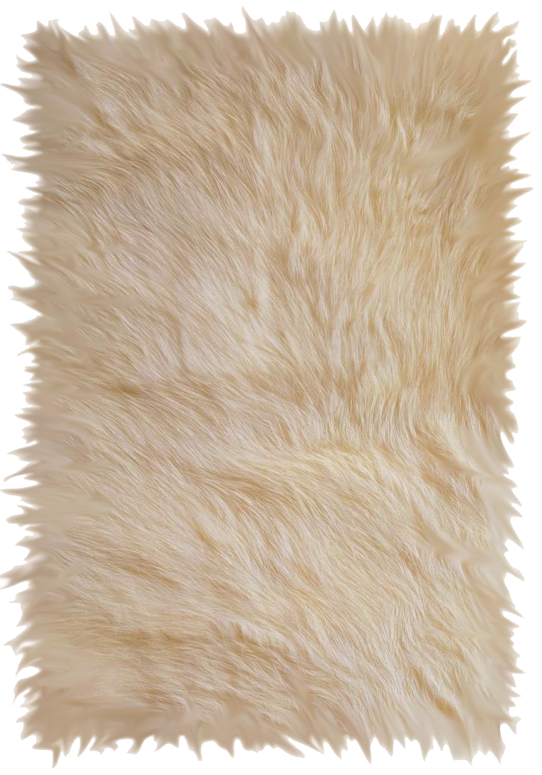 Fur 3D Computer Graphics Modeling Wool Carpet Transparent PNG Image