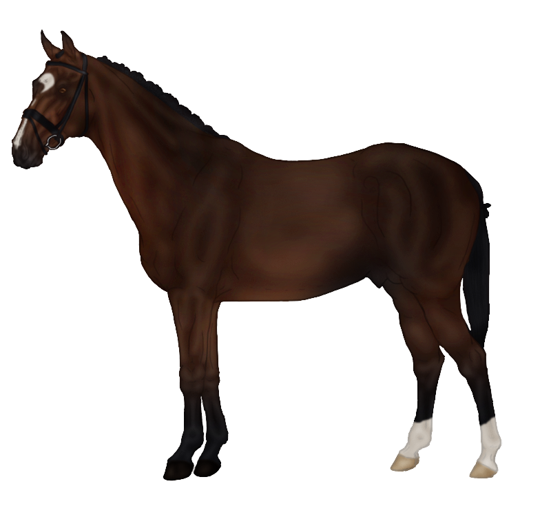 Sims Horse Markings Rein Pets Free Transparent Image HQ Transparent PNG Image