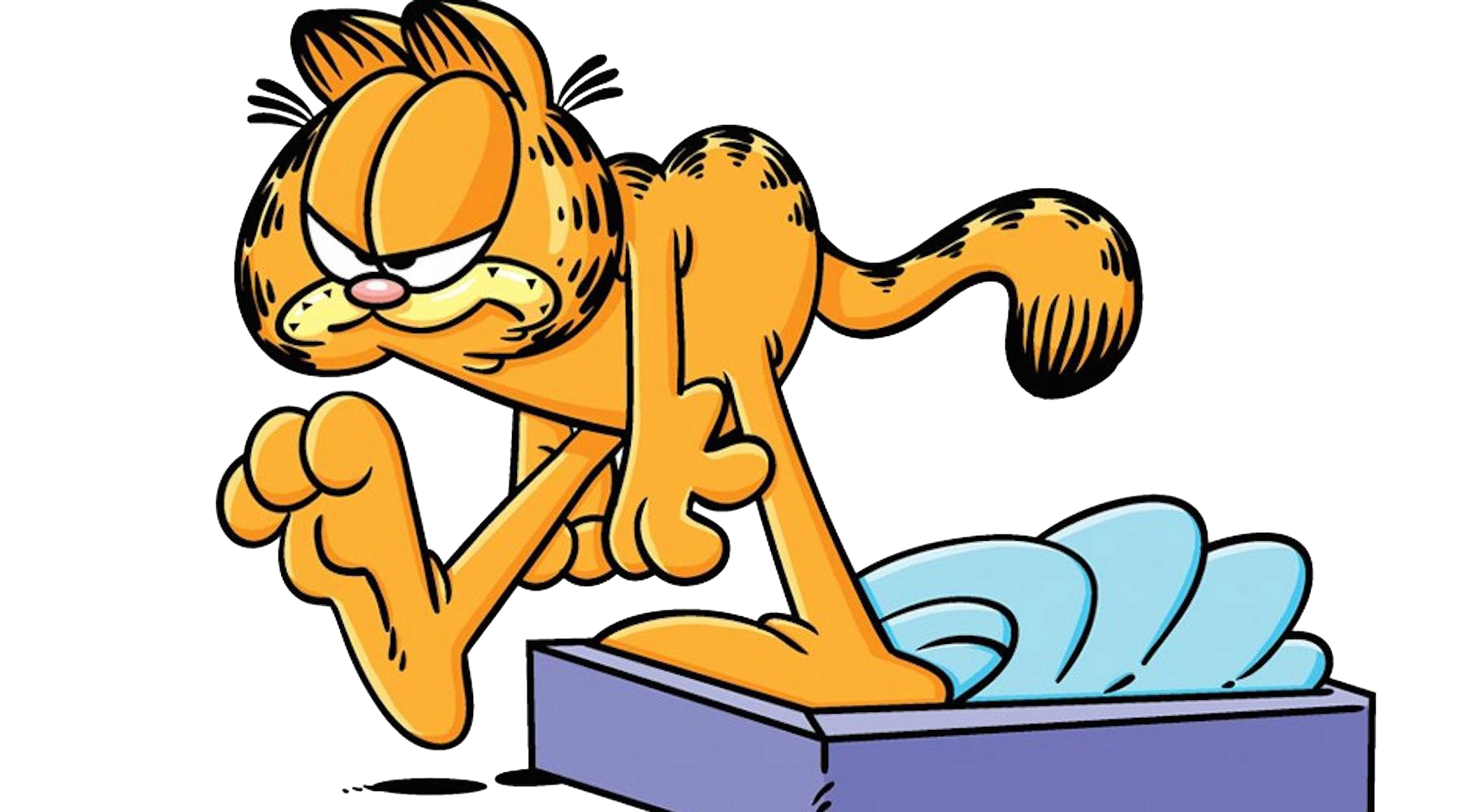 Photos Garfield Free Download PNG HD Transparent PNG Image