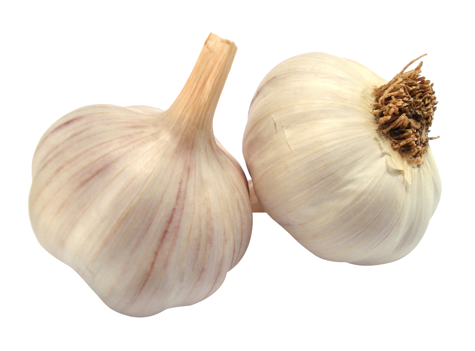 Garlic Transparent Transparent PNG Image