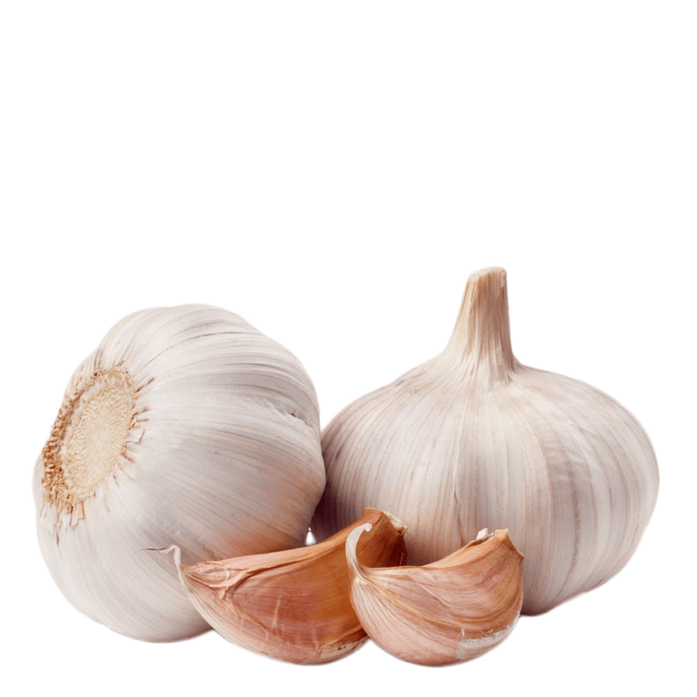 Garlic Picture Transparent PNG Image