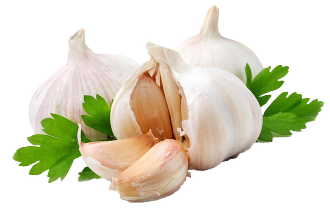 Garlic Png Image Transparent PNG Image