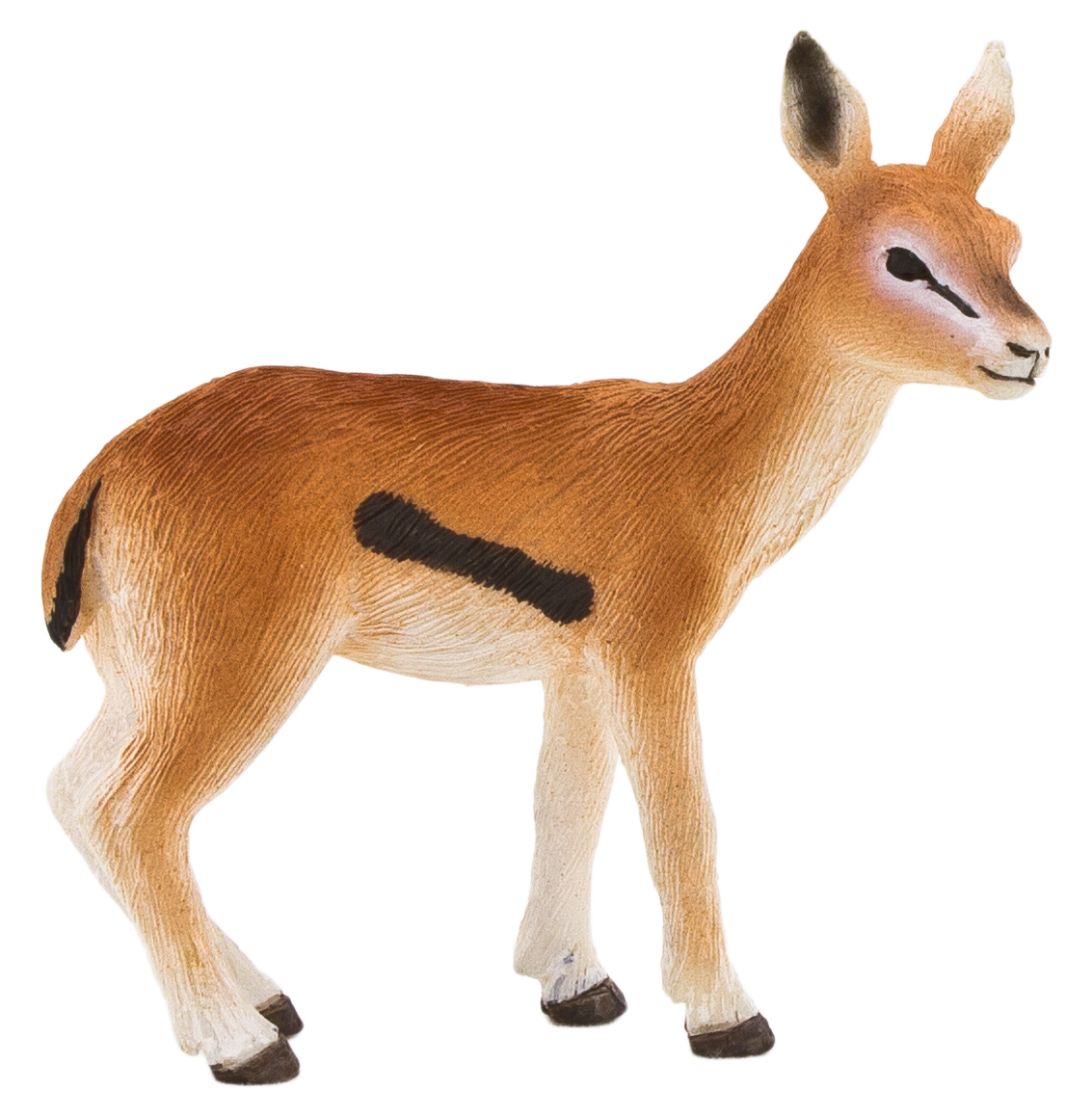 Gazelle Transparent Background Transparent PNG Image