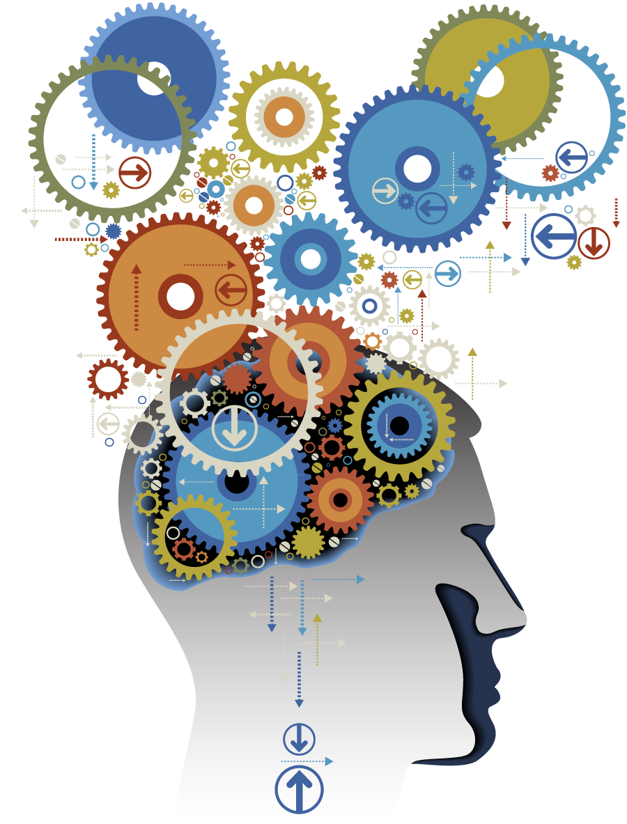 Brain Vector Gears PNG Image High Quality Transparent PNG Image