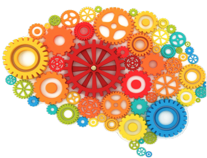 Brain Vector Colored Gears Download HQ Transparent PNG Image