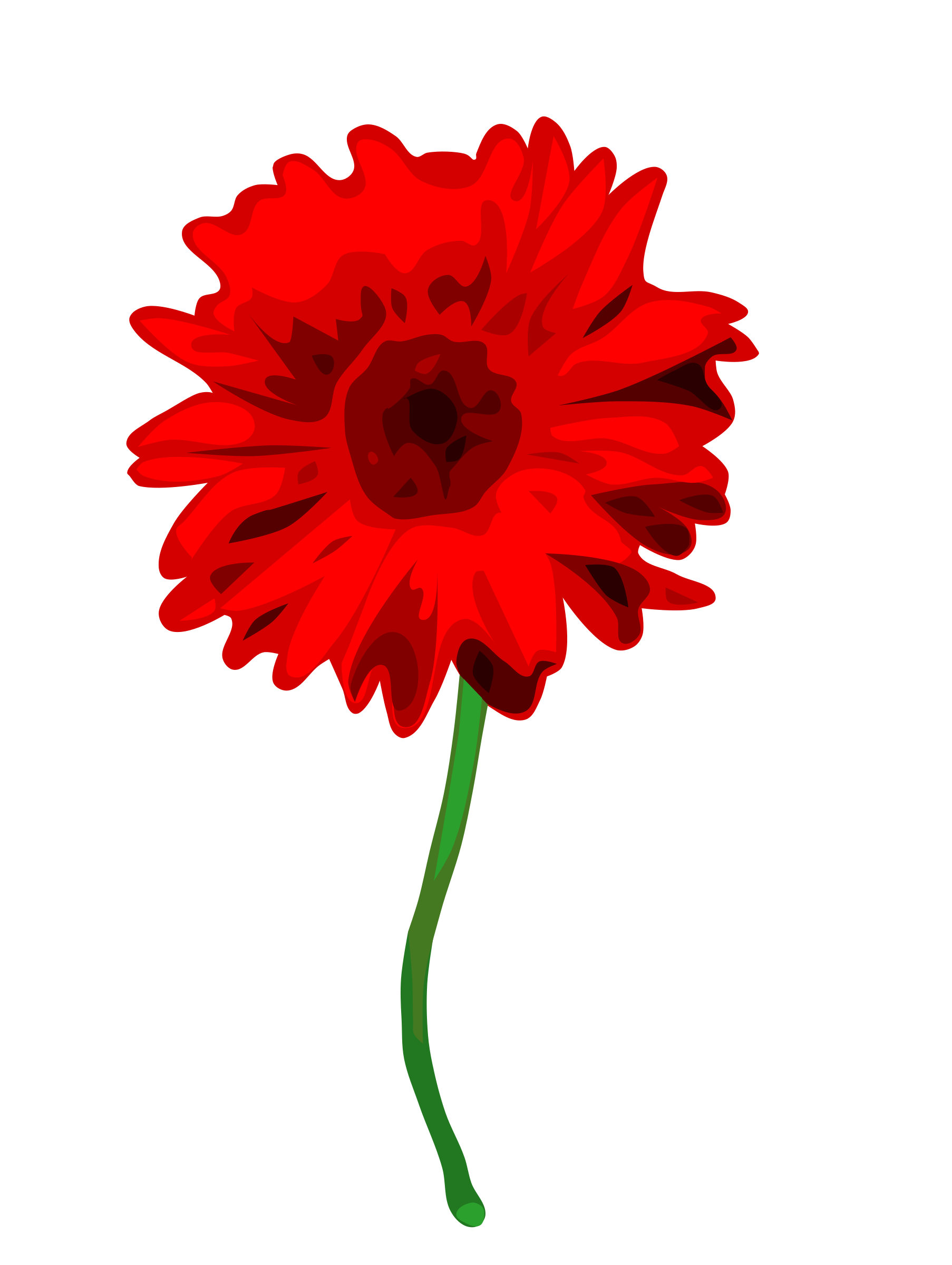 Gerbera Transparent Transparent PNG Image