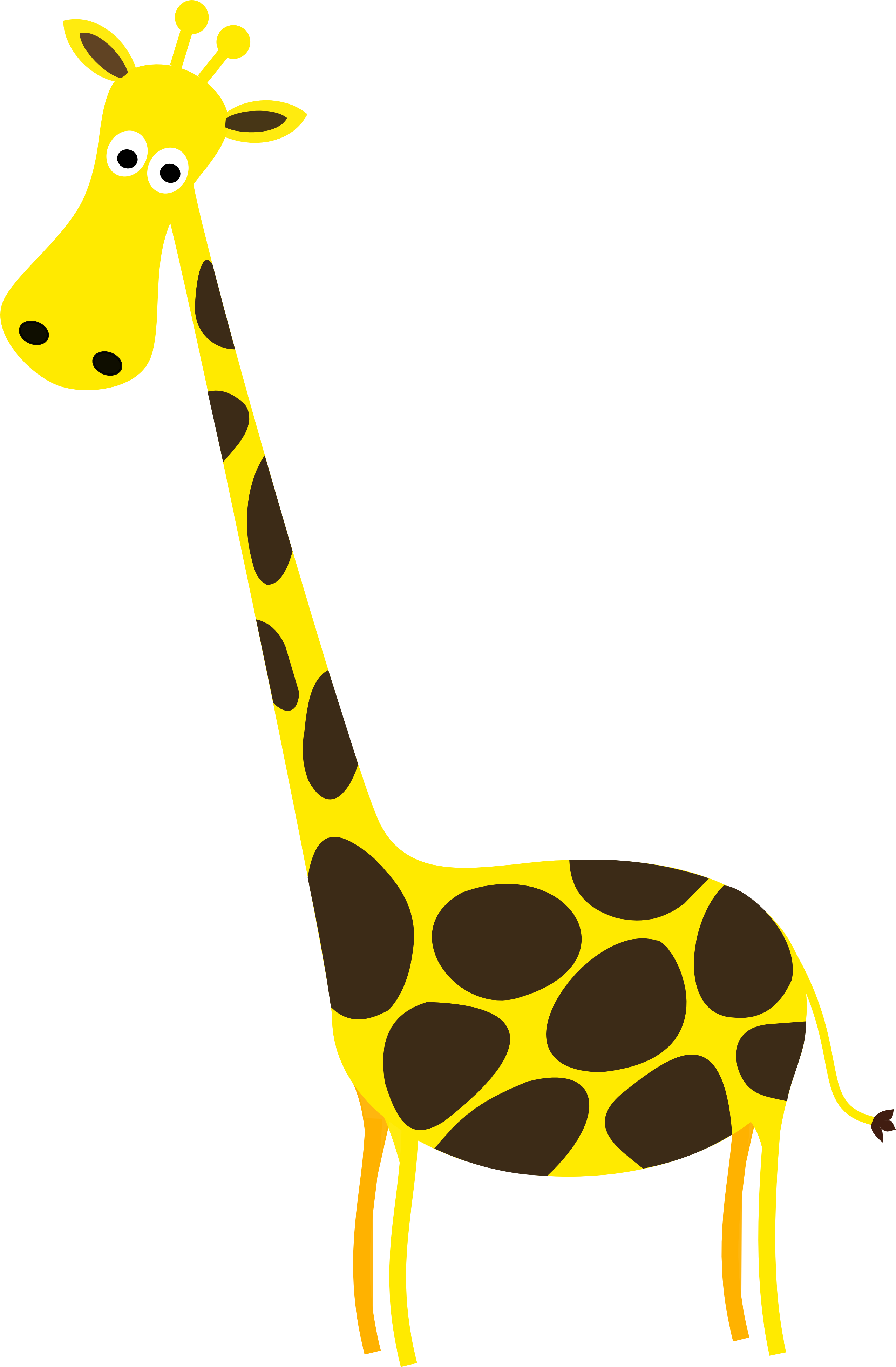 Photos Giraffe Vector Free Transparent Image HQ Transparent PNG Image