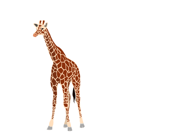 Giraffe Vector PNG Download Free Transparent PNG Image