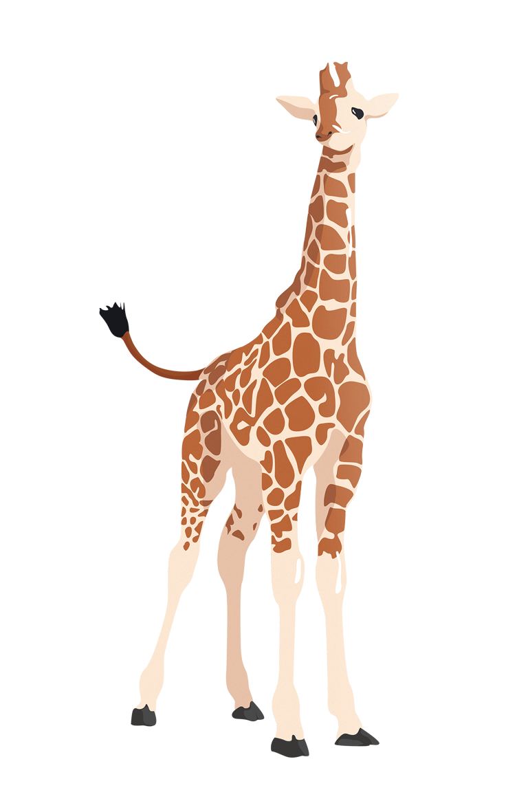 Small Photos Giraffe Vector Free Download PNG HD Transparent PNG Image