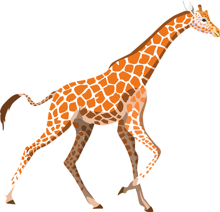 Giraffe Vector Free Download PNG HQ Transparent PNG Image