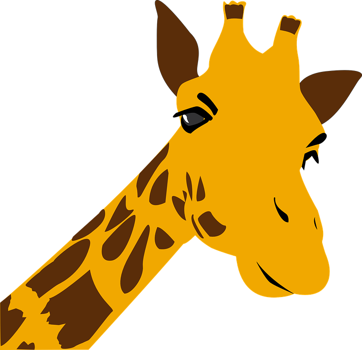 Giraffe Vector PNG Image High Quality Transparent PNG Image