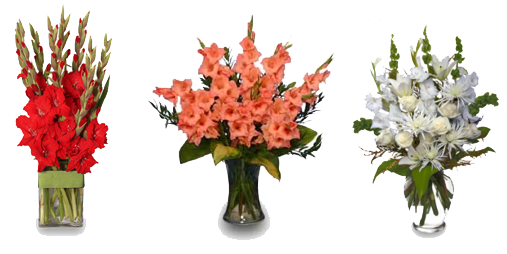 Gladiolus Clipart Transparent PNG Image