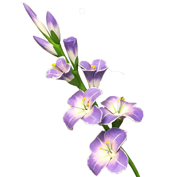 Gladiolus Transparent Picture Transparent PNG Image