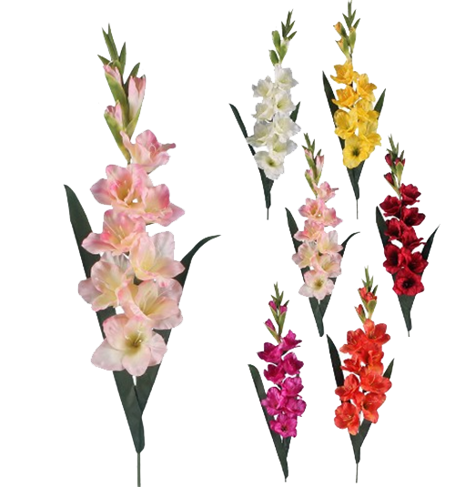 Gladiolus Transparent Transparent PNG Image