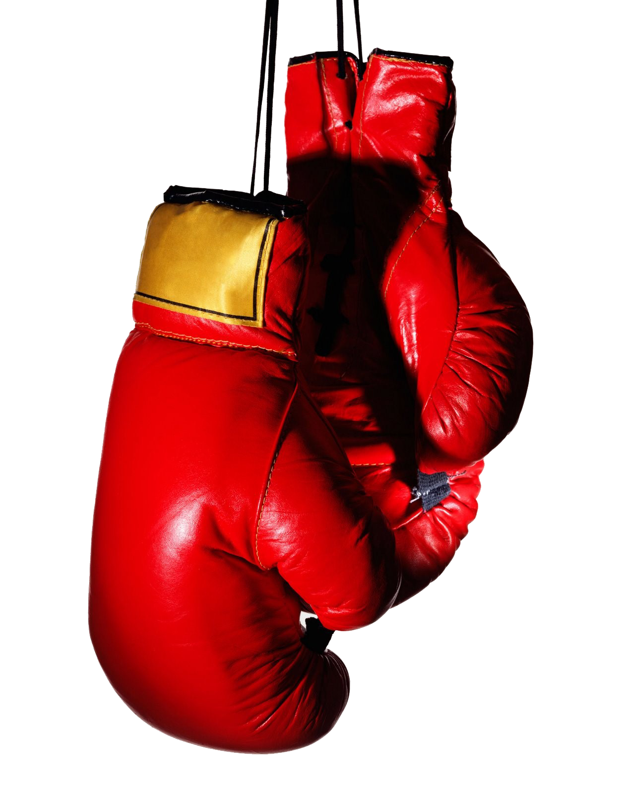 Boxing Gloves Transparent Image Transparent PNG Image