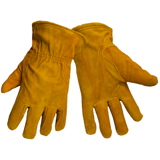 Winter Gloves Image Free HQ Image Transparent PNG Image