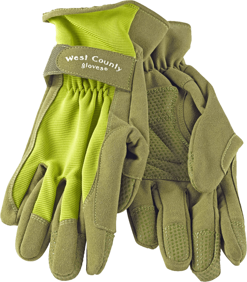 Gloves Png Image Transparent PNG Image