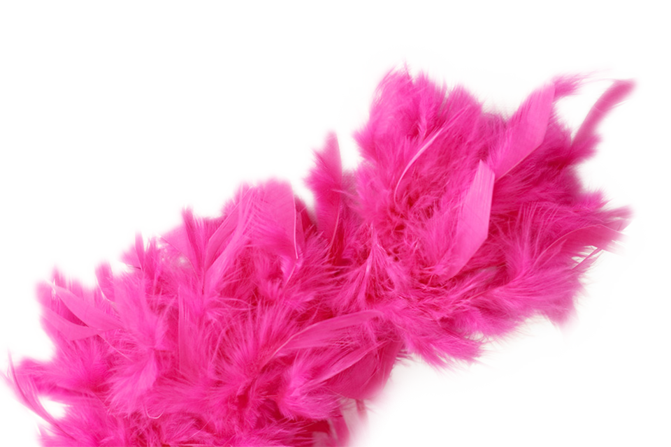 Boa Feather Header Free Frame Transparent PNG Image