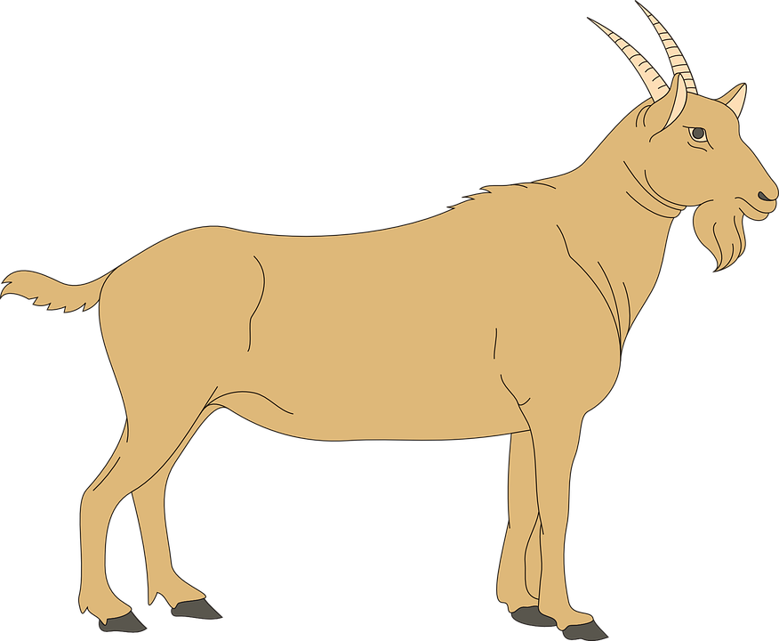 Vector Goat PNG Free Photo Transparent PNG Image