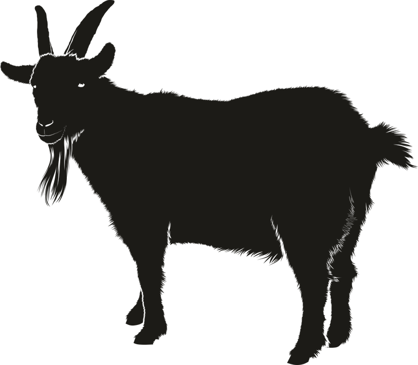 Vector Black Goat Free Clipart HD Transparent PNG Image