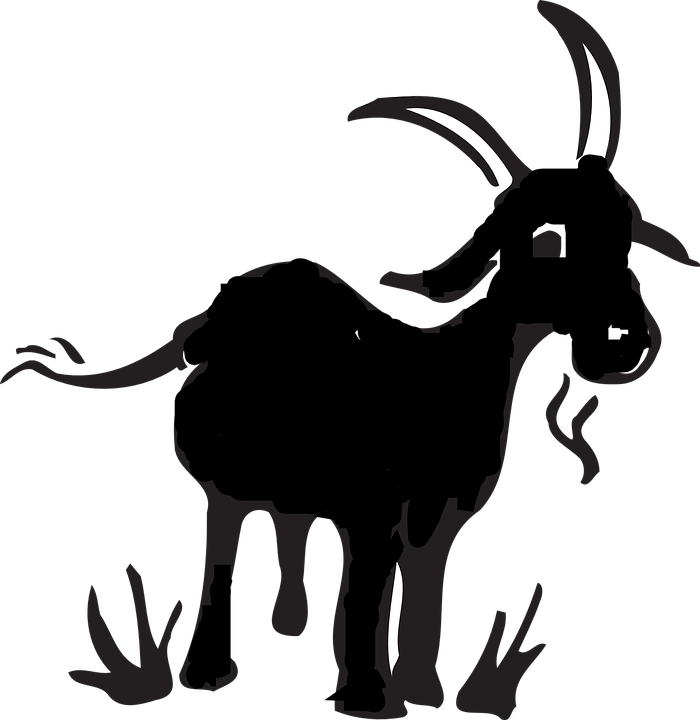 Vector Goat HD Image Free Transparent PNG Image